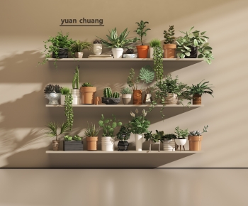 Modern Desktop Plant-ID:135452033