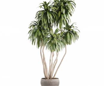 Modern Ground Green Plant Potted Plants-ID:472126015