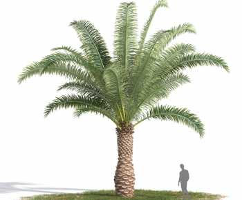 Modern Tree-ID:842919389