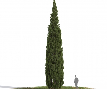 Modern Tree-ID:288796905