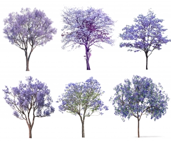 Modern Tree-ID:535907985