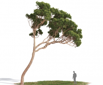 Modern Tree-ID:659107924