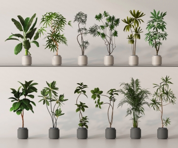 Modern Ground Green Plant Potted Plants-ID:641777999