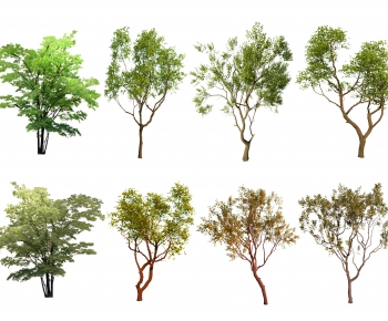 Modern Tree-ID:703557014