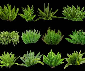 Modern Flowers And Grass-ID:610250952