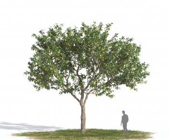 Modern Tree-ID:401935108
