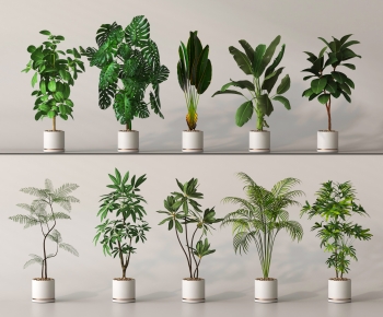 Modern Ground Green Plant Potted Plants-ID:943533906