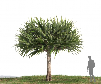 Modern Tree-ID:918499958