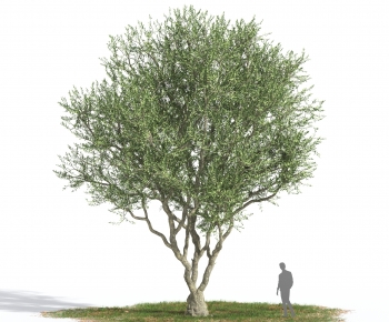 Modern Tree-ID:690584908