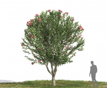 Modern Tree-ID:222601898