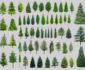 Modern Tree-ID:540410049