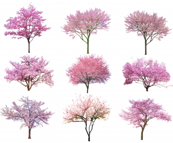 Modern Tree-ID:396243103