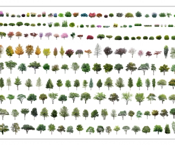 Modern Tree-ID:591819056