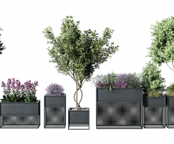 Modern Flower Bed, Flower Bowl, Flower Box-ID:107445002