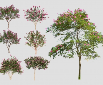 Modern Tree-ID:106580356