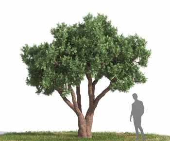 Modern Tree-ID:878046044