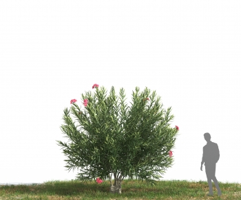 Modern Tree-ID:227432016