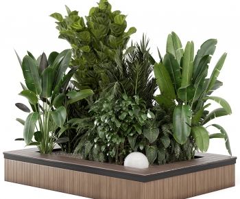 Modern Flower Bed, Flower Bowl, Flower Box-ID:418235064