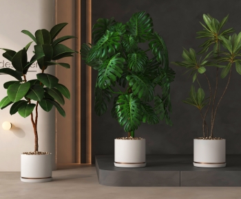 Modern Ground Green Plant Potted Plants-ID:270422949