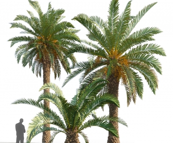 Modern Tree-ID:112407921