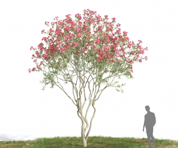 Modern Tree-ID:457233915