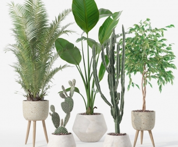 Modern Ground Green Plant Potted Plants-ID:650820769