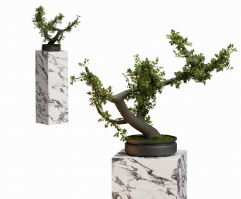 New Chinese Style Bonsai-ID:152249107