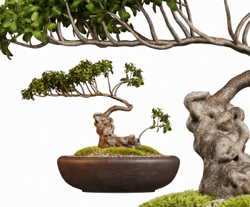 New Chinese Style Bonsai-ID:656368027
