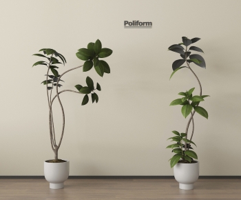 Modern Ground Green Plant Potted Plants-ID:968262911