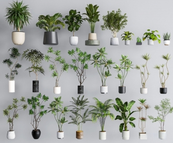 Modern Ground Green Plant Potted Plants-ID:517174014