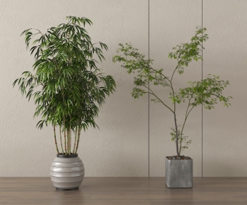 Modern Ground Green Plant Potted Plants-ID:466391091