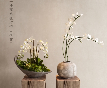 Modern Bonsai-ID:808286911