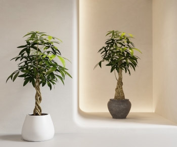 Modern Ground Green Plant Potted Plants-ID:886667015