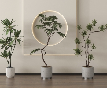 Modern Ground Green Plant Potted Plants-ID:363605985