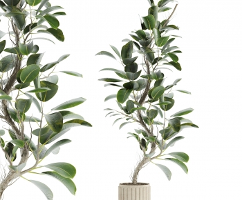 Modern Ground Green Plant Potted Plants-ID:572951086