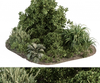 Modern Shrubbery-ID:925415999