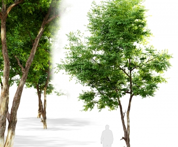 Modern Tree-ID:876535894