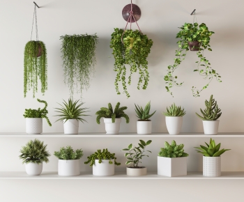 Modern Potted Green Plant-ID:581322914