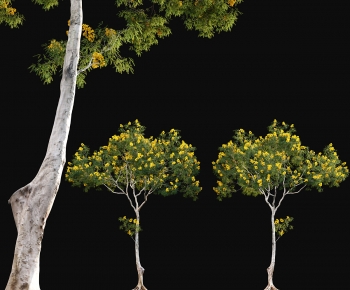 Modern Tree-ID:870980983