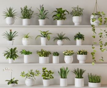 Modern Potted Green Plant-ID:657922988