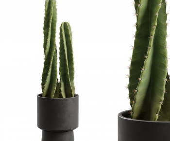 Modern Potted Green Plant-ID:490483057