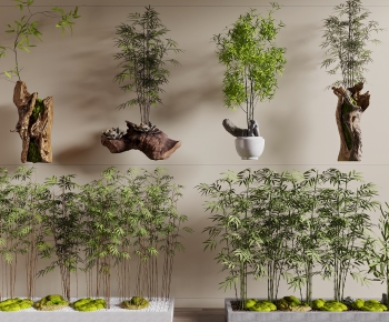 Modern Bamboo-ID:263299951