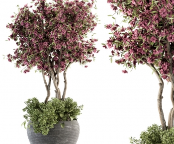 Modern Ground Green Plant Potted Plants-ID:646768098