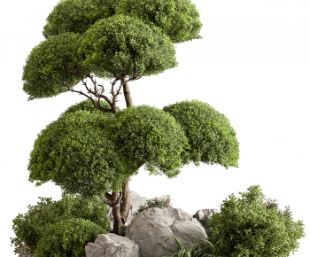 Modern Plant Pile-ID:129163031