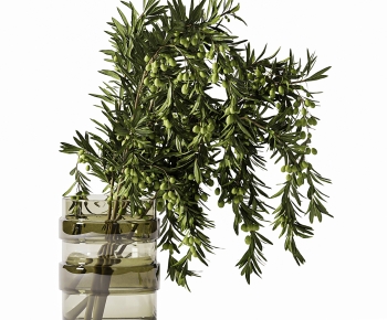 Modern Aquatic Green Plant-ID:776582967