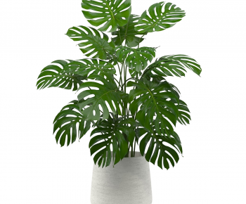Modern Potted Green Plant-ID:203804971