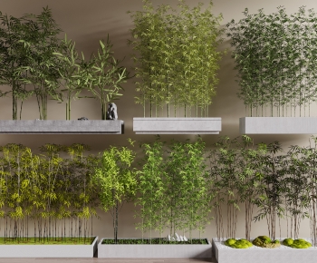 Modern Bamboo-ID:973851923