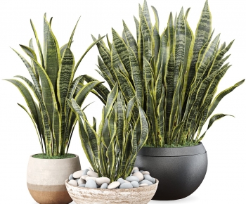Modern Potted Green Plant-ID:122430318
