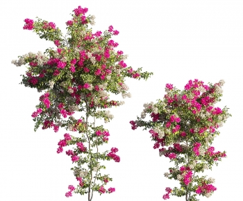 Modern Tree-ID:321962129