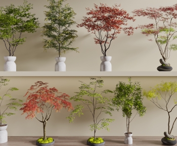 Modern Ground Green Plant Potted Plants-ID:877630737